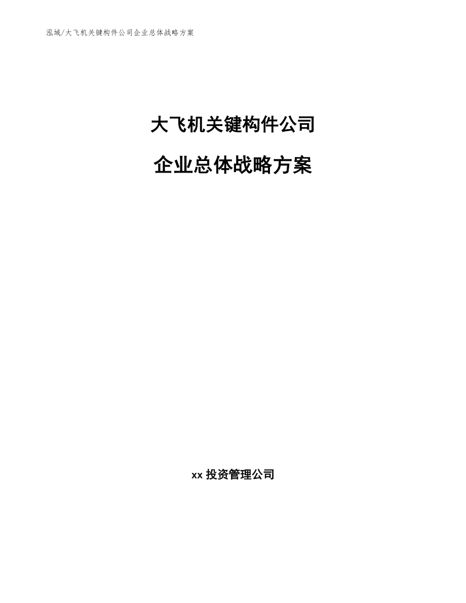 大飞机关键构件公司企业总体战略方案_第1页