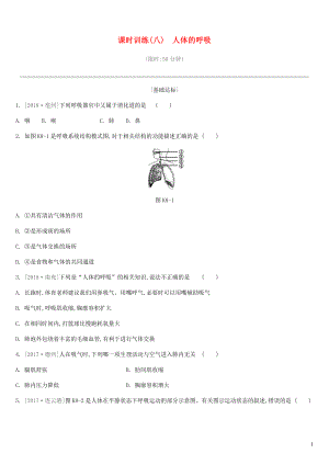 江蘇省徐州市2019年中考生物復(fù)習(xí) 第三單元 生物從環(huán)境中獲取物質(zhì)和能量 課時(shí)訓(xùn)練08 人體的呼吸