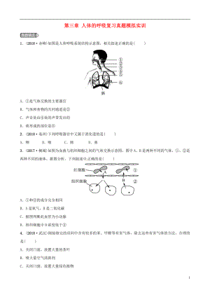 （江西專版）2019中考生物 第1部分 第四單元 第三章 人體的呼吸復(fù)習(xí)真題模擬實(shí)訓(xùn)