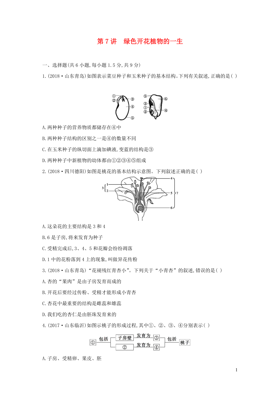 （云南專版）2019版中考生物 第7講 綠色開花植物的一生習(xí)題_第1頁