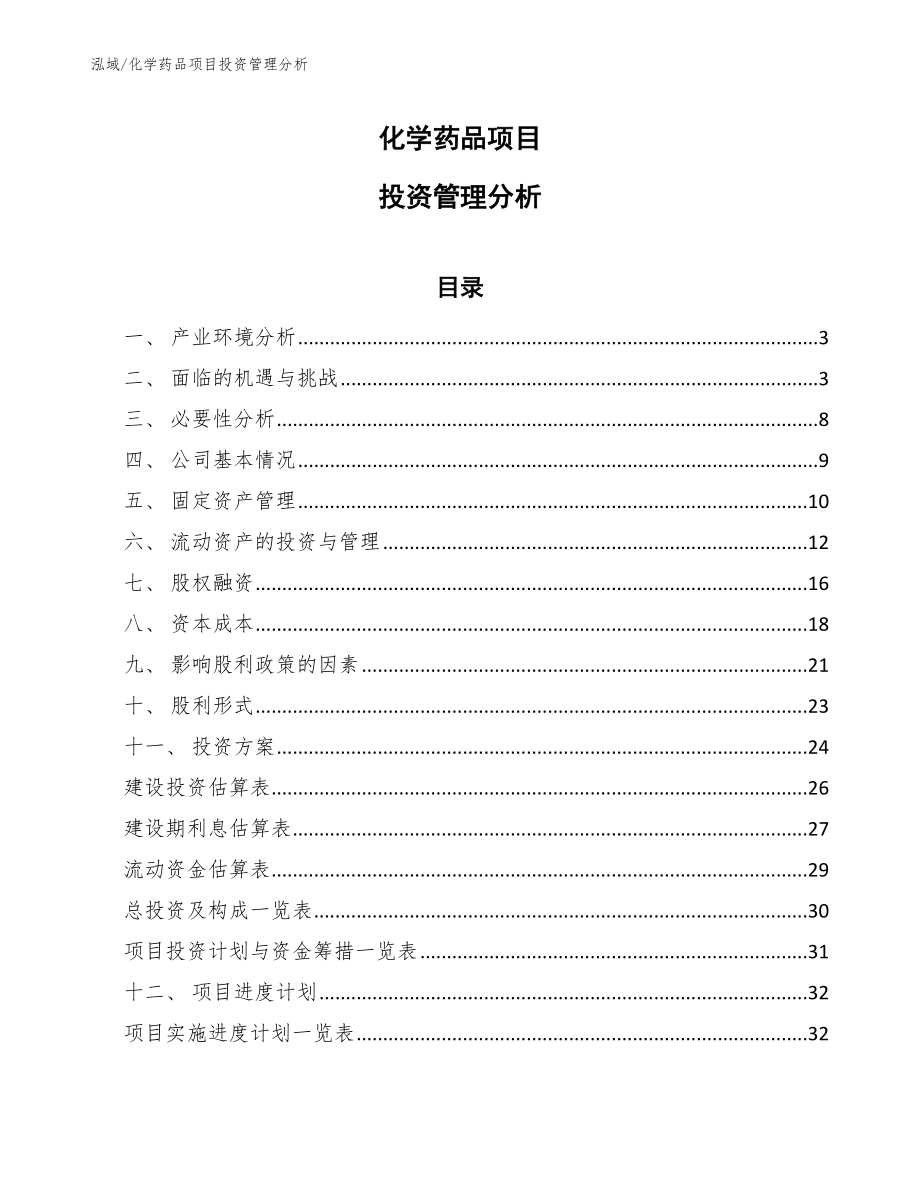 化学药品项目投资管理分析_第1页