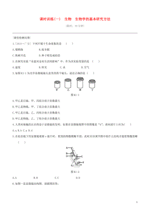 七年級生物上冊 第一單元 走進(jìn)生命世界 課時訓(xùn)練01 生物 生物學(xué)的基本研究方法（含解析）（新版）蘇科版