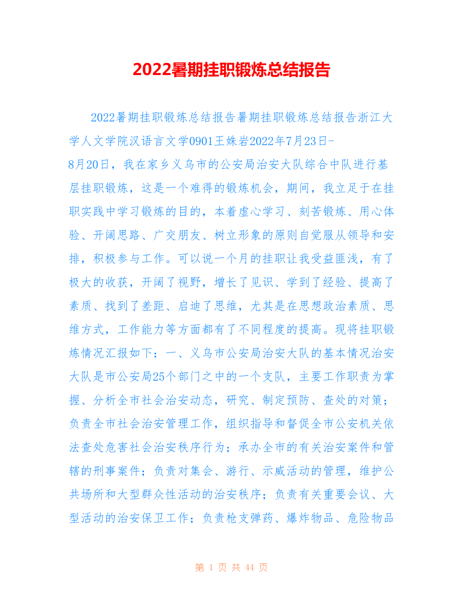 2022暑期挂职锻炼总结报告_第1页