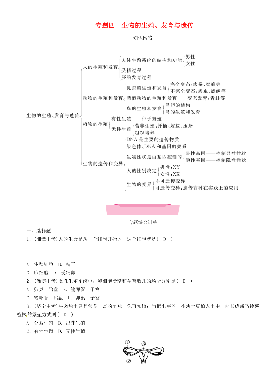 （襄陽專版）2018年中考生物總復習 第2部分 重難點過關(guān) 專題4 生物的生殖、發(fā)育與遺傳_第1頁