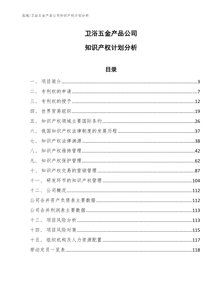 卫浴五金产品公司知识产权计划分析_范文_第1页