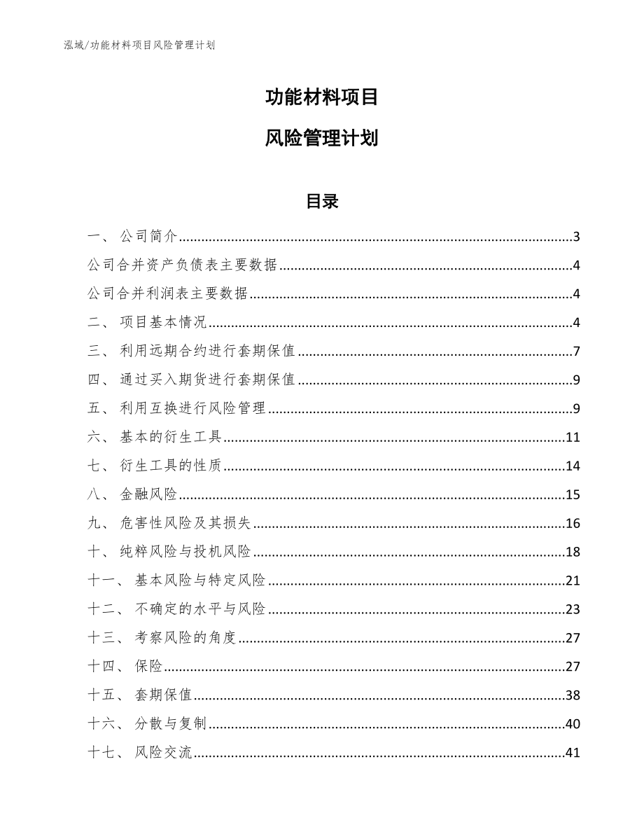 功能材料项目风险管理计划【范文】_第1页