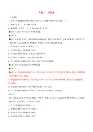 2018年中考物理試題分項版解析匯編（第01期）專題01 聲現(xiàn)象（含解析）