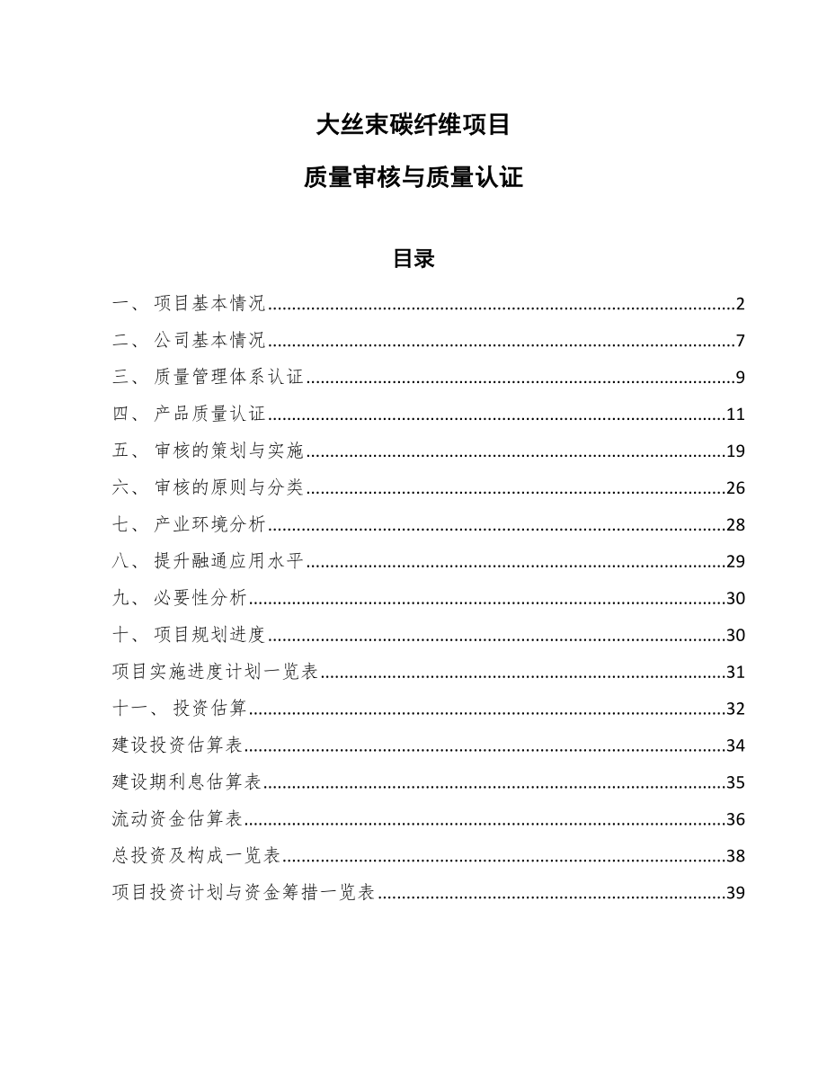 大丝束碳纤维项目质量审核与质量认证_第1页