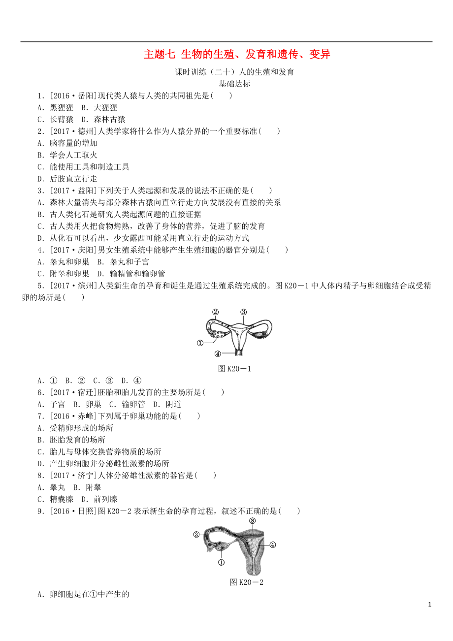 （北京專版）2018年中考生物復(fù)習(xí)方案 主題七 生物的生殖、發(fā)育和遺傳、變異 第20課時 人的生殖和發(fā)育作業(yè)手冊_第1頁