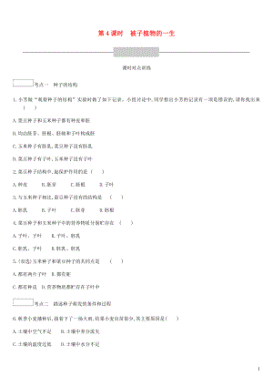 廣東省深圳市2019年中考生物 主題復(fù)習(xí)三 生物圈中的綠色植物 第04課時(shí) 被子植物的一生練習(xí)