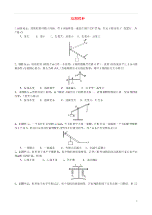 2018年中考物理 動態(tài)杠桿專題復(fù)習(xí)訓(xùn)練題