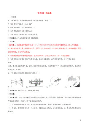 2018年中考物理試題分項版解析匯編（第01期）專題02 光現(xiàn)象（含解析）