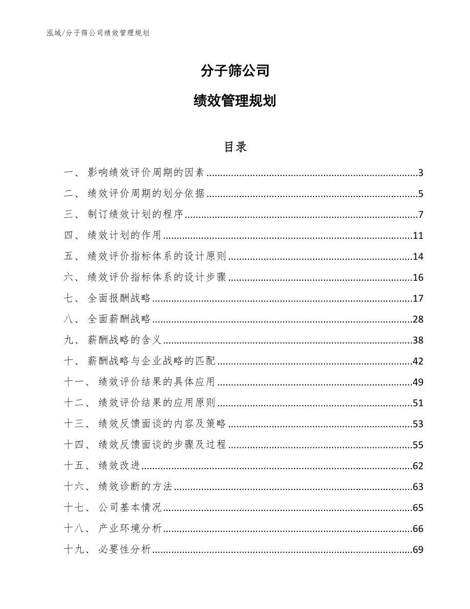 分子筛公司绩效管理规划（范文）_第1页