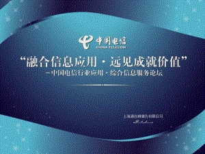 中国电信行业应用综合信息服务论坛会