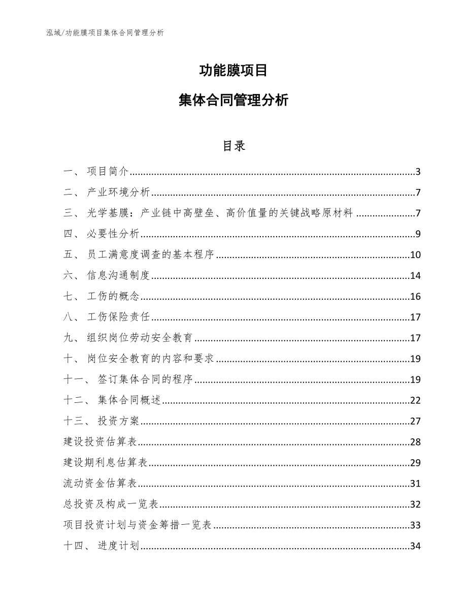 功能膜项目集体合同管理分析（范文）_第1页