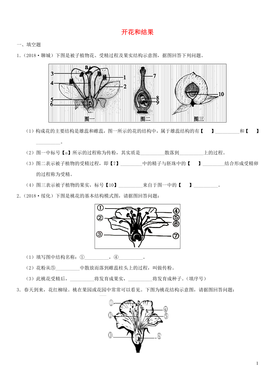 2019屆中考生物 專題匯編 開(kāi)花和結(jié)果_第1頁(yè)