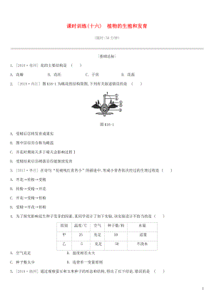 江蘇省徐州市2019年中考生物復(fù)習(xí) 第六單元 生命的延續(xù)與進(jìn)化 課時(shí)訓(xùn)練16 植物的生殖和發(fā)育