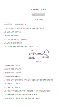 廣東省深圳市2019年中考生物 主題復(fù)習(xí)七 生物的多樣性 第14課時(shí) 微生物練習(xí)