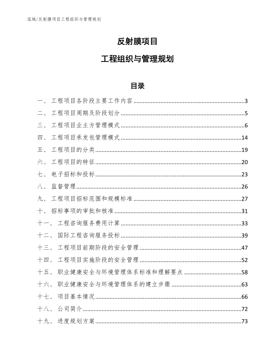 反射膜项目工程组织与管理规划_第1页