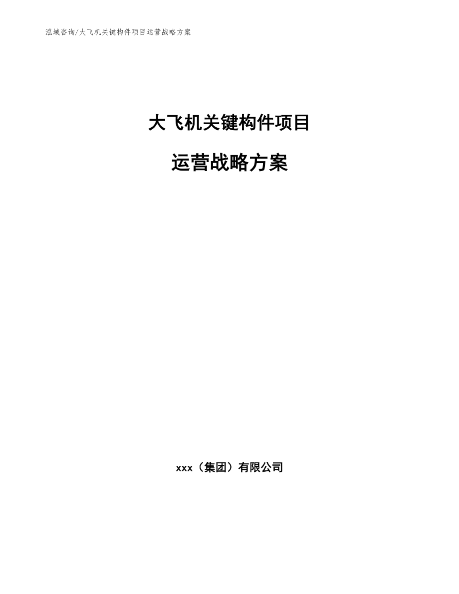 大飞机关键构件项目运营战略方案_第1页