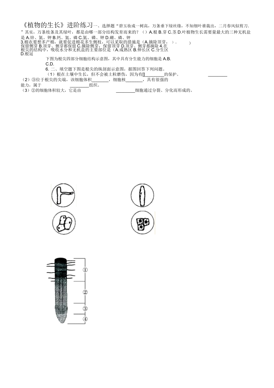 《植物的生長(zhǎng)》進(jìn)階練習(xí)_第1頁(yè)