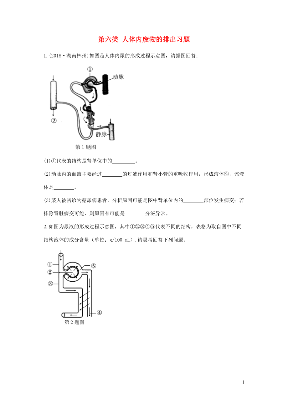 2019中考生物總復(fù)習(xí) 第二部分 重點(diǎn)題型探究 題型二 識(shí)圖題 第六類 人體內(nèi)廢物的排出習(xí)題_第1頁(yè)