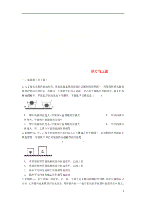 2018年中考物理 浮力與壓強專題復習練習（含解析）