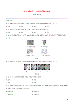 （北京專版）2020年中考生物復(fù)習(xí) 主題三 生物體的結(jié)構(gòu)層次 課時訓(xùn)練06 生物體的結(jié)構(gòu)層次