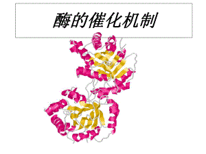 生物化学酶的催化机制