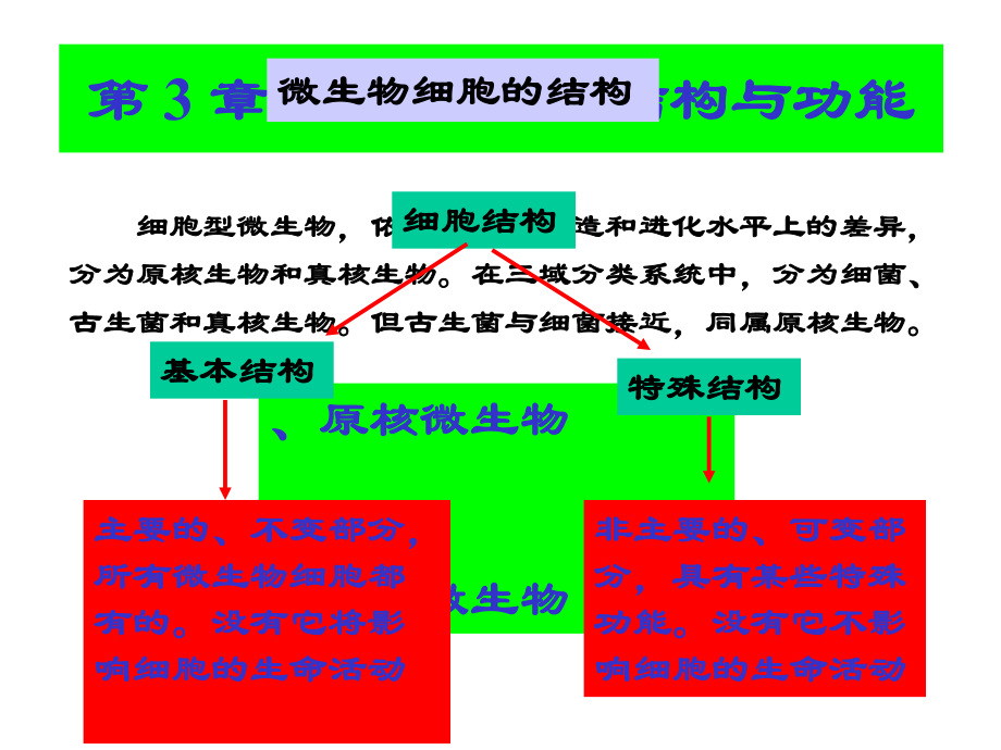 微生物细胞结构与功能_第1页