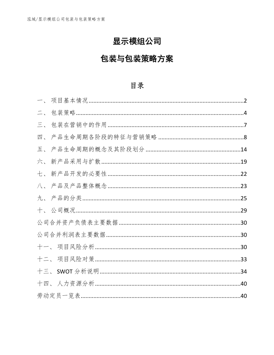 显示模组公司包装与包装策略方案（范文）_第1页