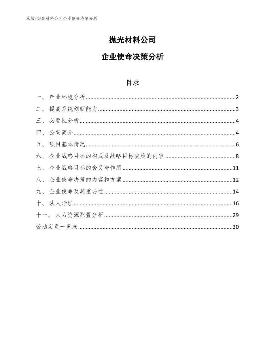 抛光材料公司企业使命决策分析_范文_第1页