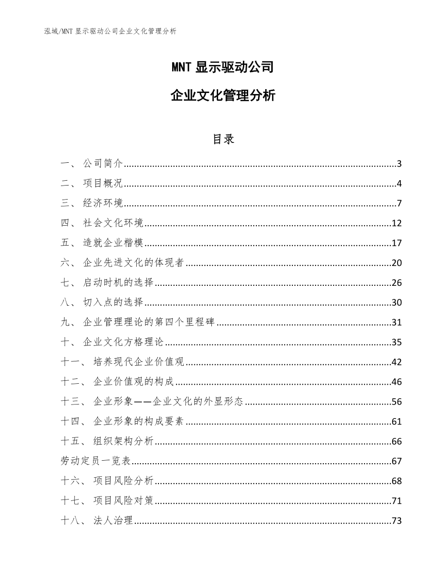 MNT显示驱动公司企业文化管理分析【参考】_第1页