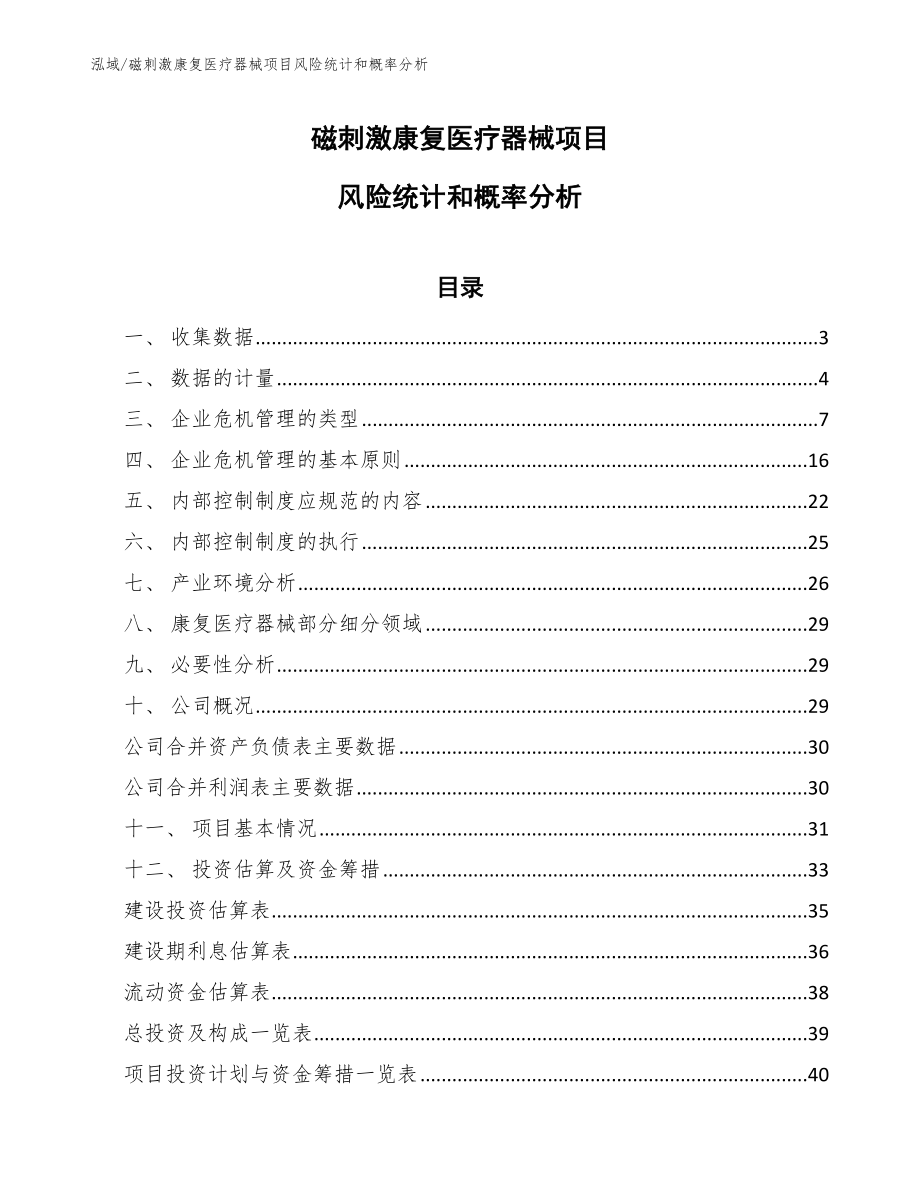 磁刺激康复医疗器械项目风险统计和概率分析【参考】_第1页