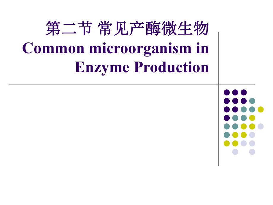 微生物发酵产酶_第1页
