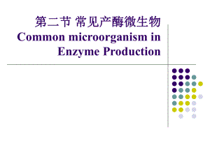 微生物发酵产酶