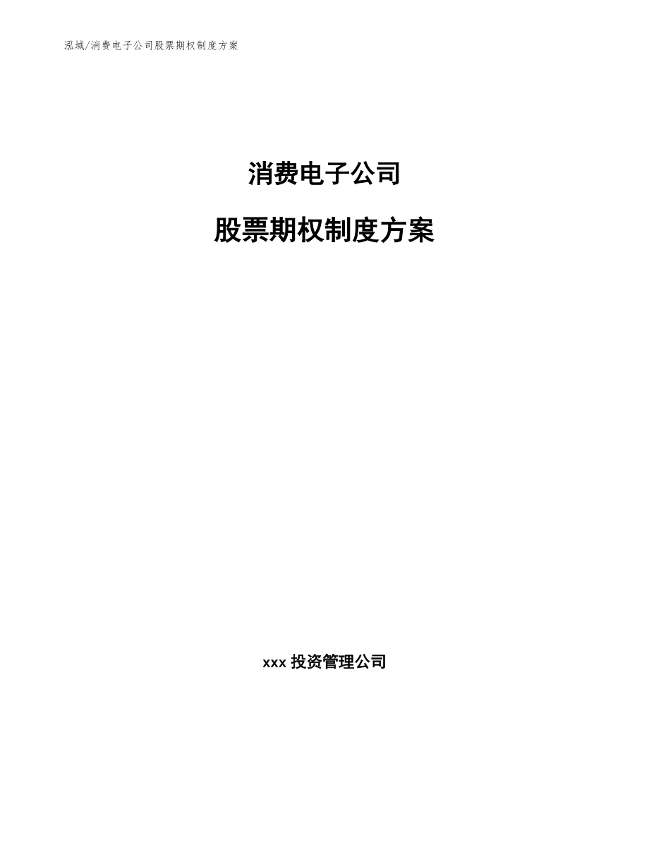 消费电子公司股票期权制度方案【范文】_第1页