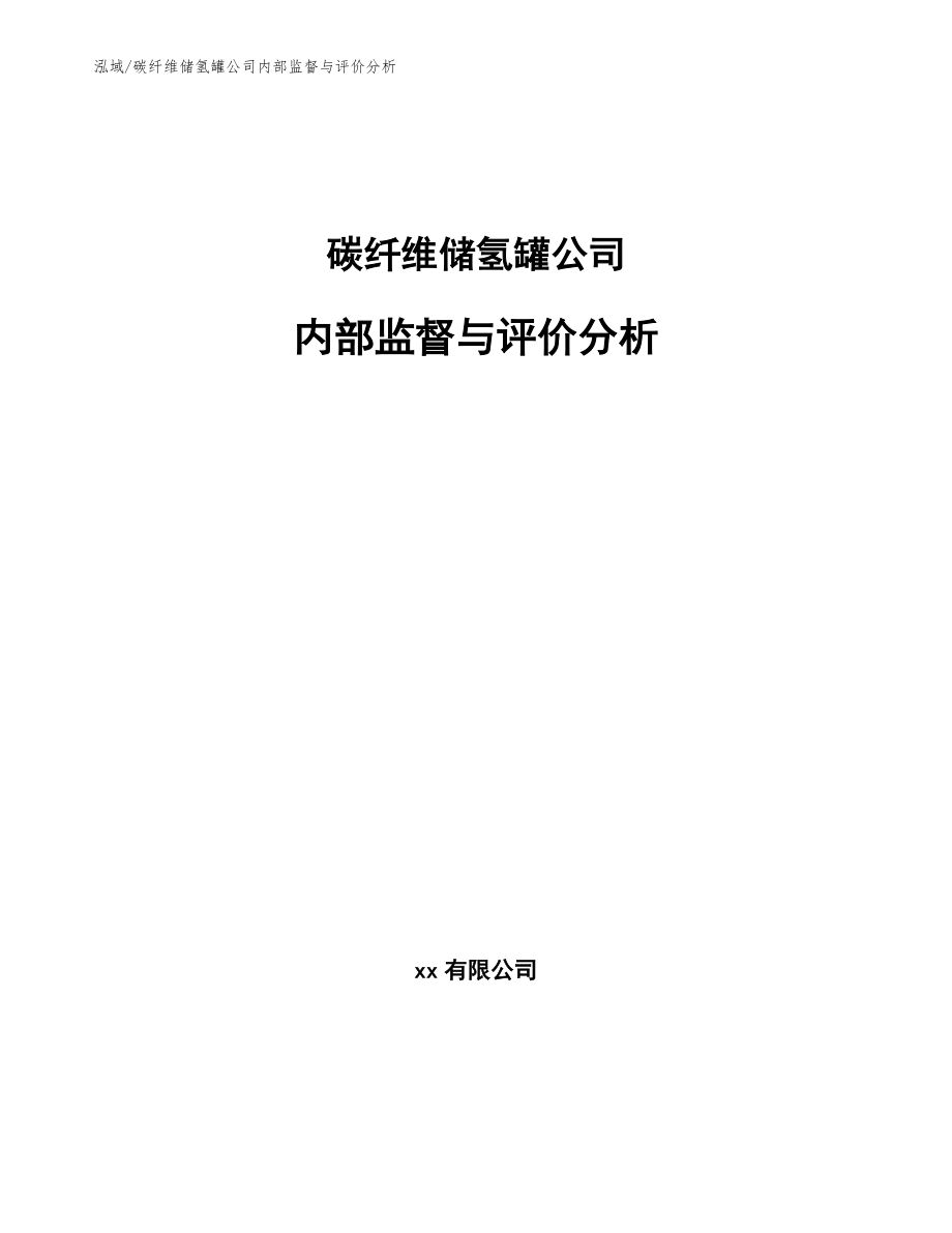 碳纤维储氢罐公司内部监督与评价分析【参考】_第1页