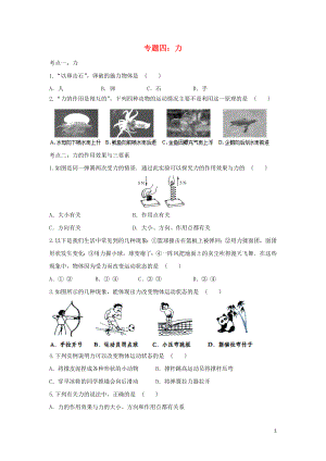 2020中考物理復習 考點歸類訓練 專題四 力試題