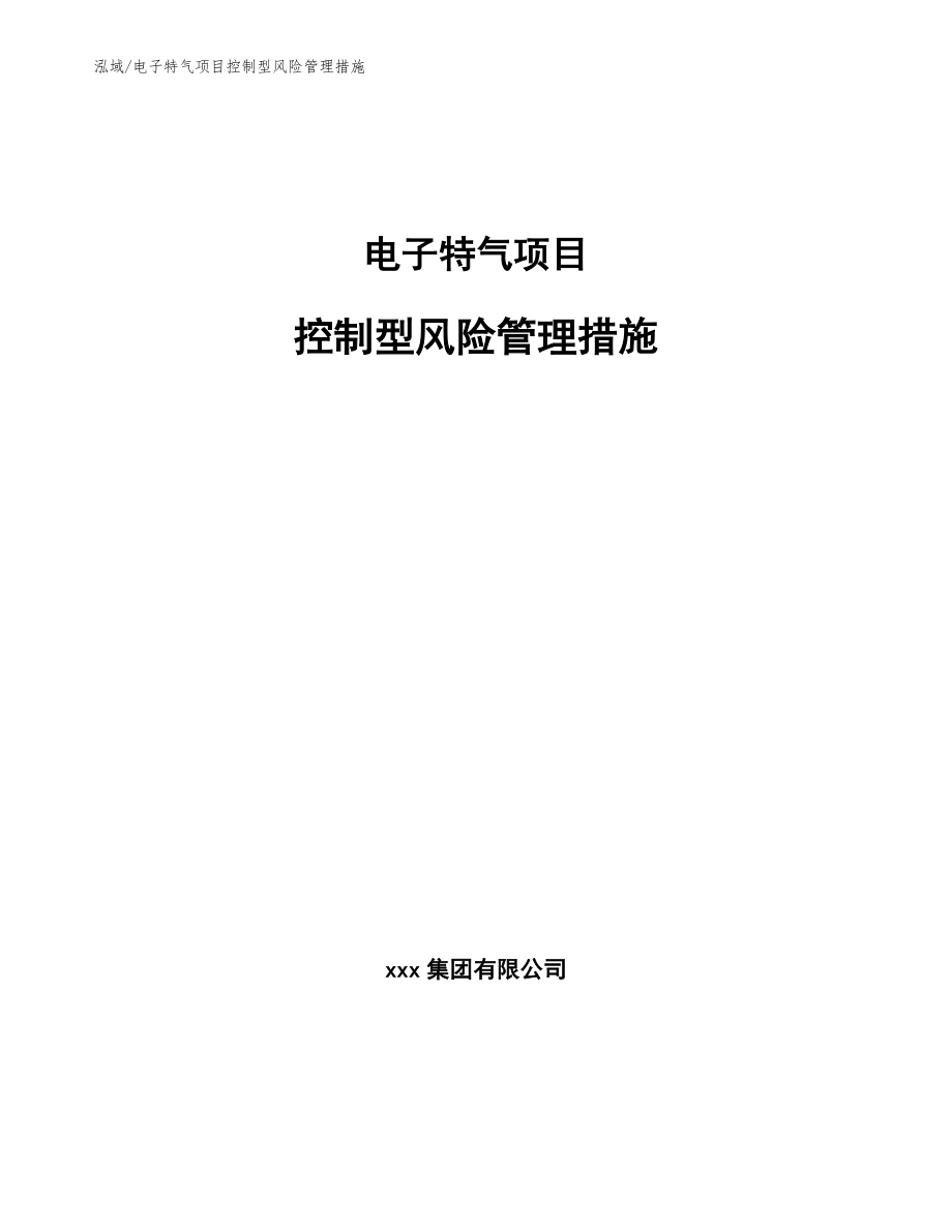 电子特气项目控制型风险管理措施（参考）_第1页