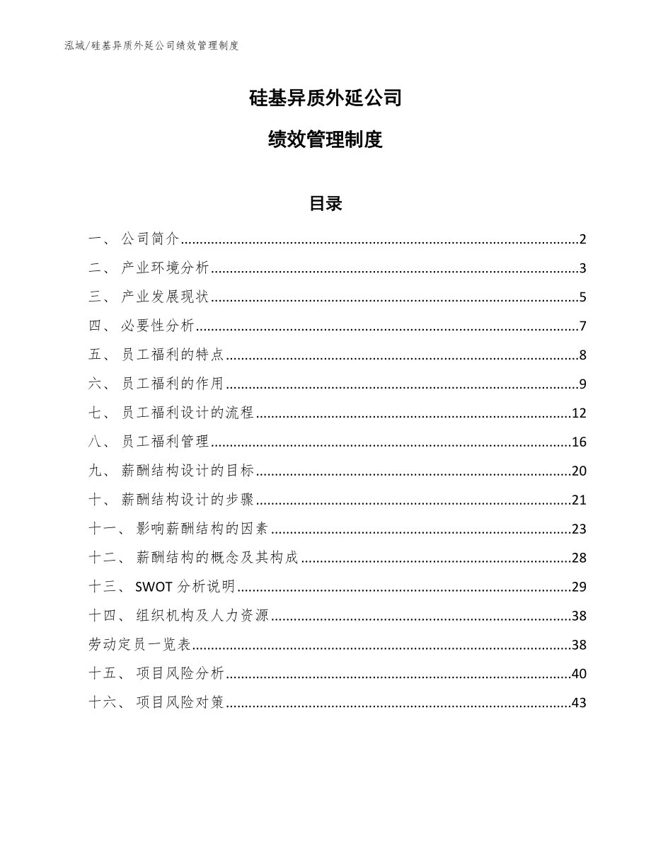 硅基异质外延公司绩效管理制度_第1页