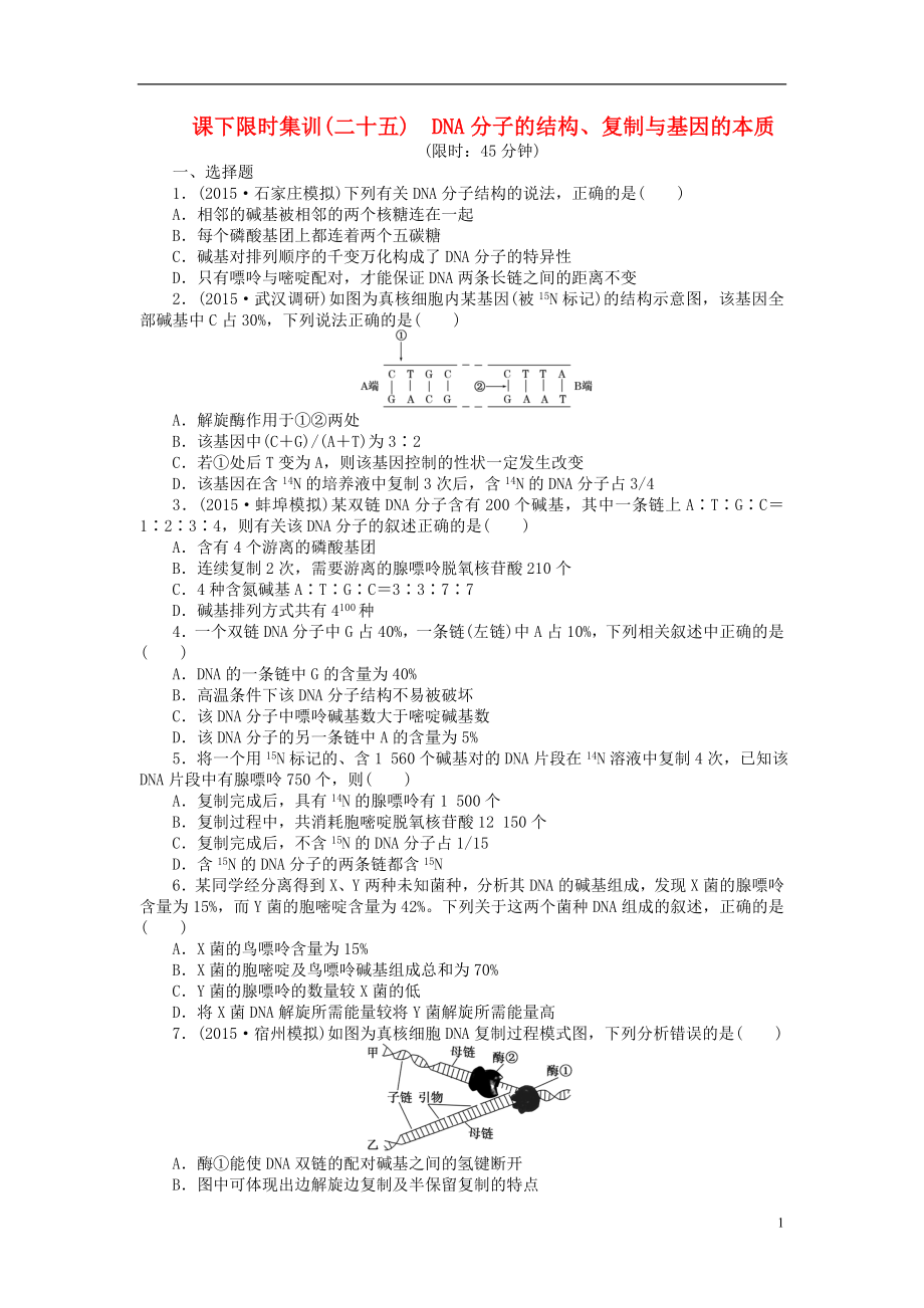 2016屆高三生物一輪復習 第二單元 第2講 DNA分子的結構、復制與基因的本質課下限時集訓 新人教版必修2_第1頁