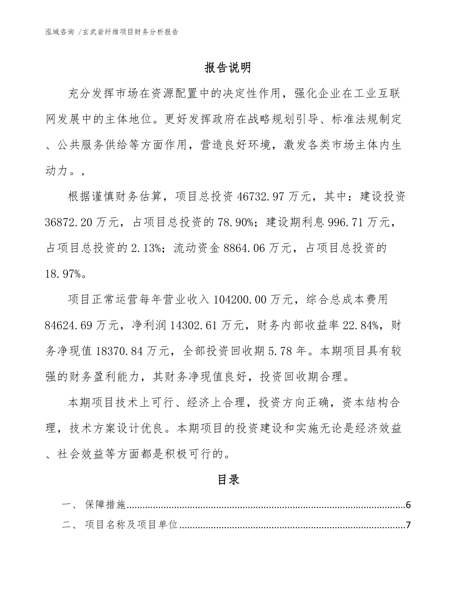 玄武岩纤维项目财务分析报告（范文）_第1页