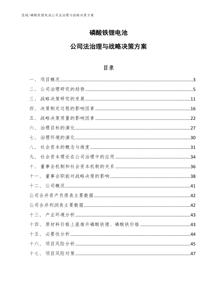 磷酸铁锂电池公司法治理与战略决策方案_参考_第1页