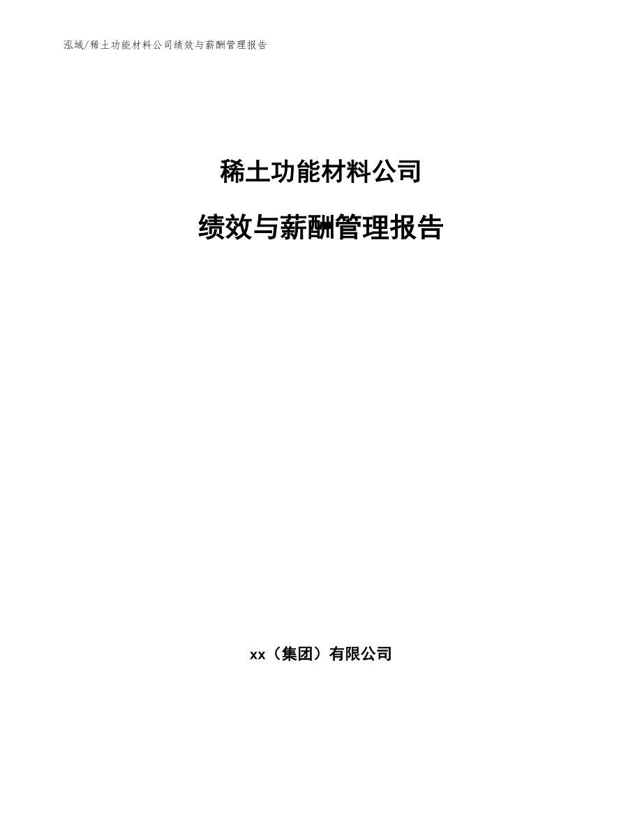 稀土功能材料公司绩效与薪酬管理报告_范文_第1页