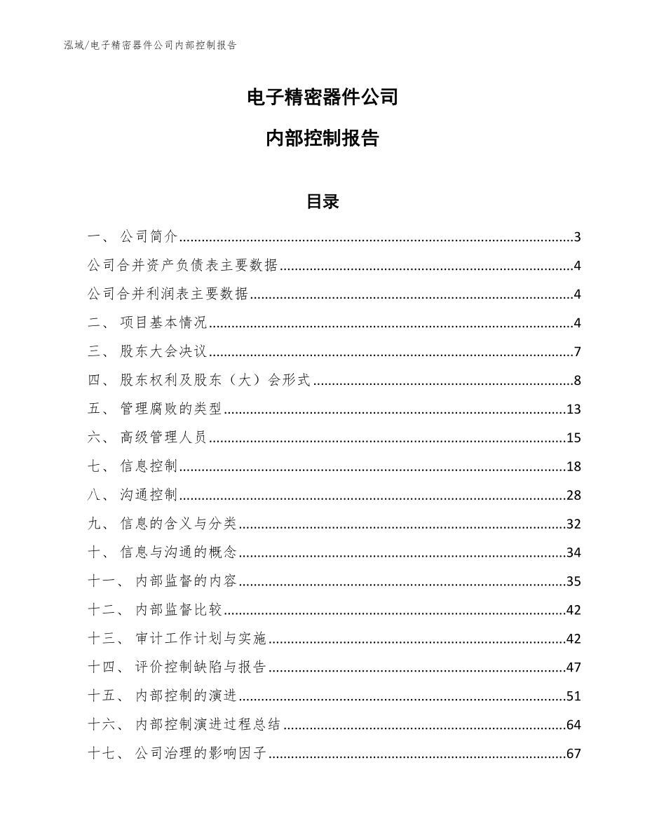 电子精密器件公司内部控制报告_第1页