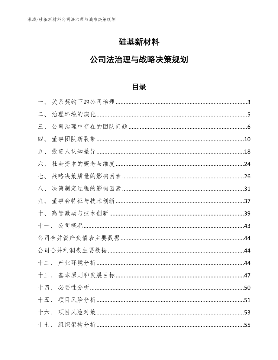 硅基新材料公司法治理与战略决策规划_第1页