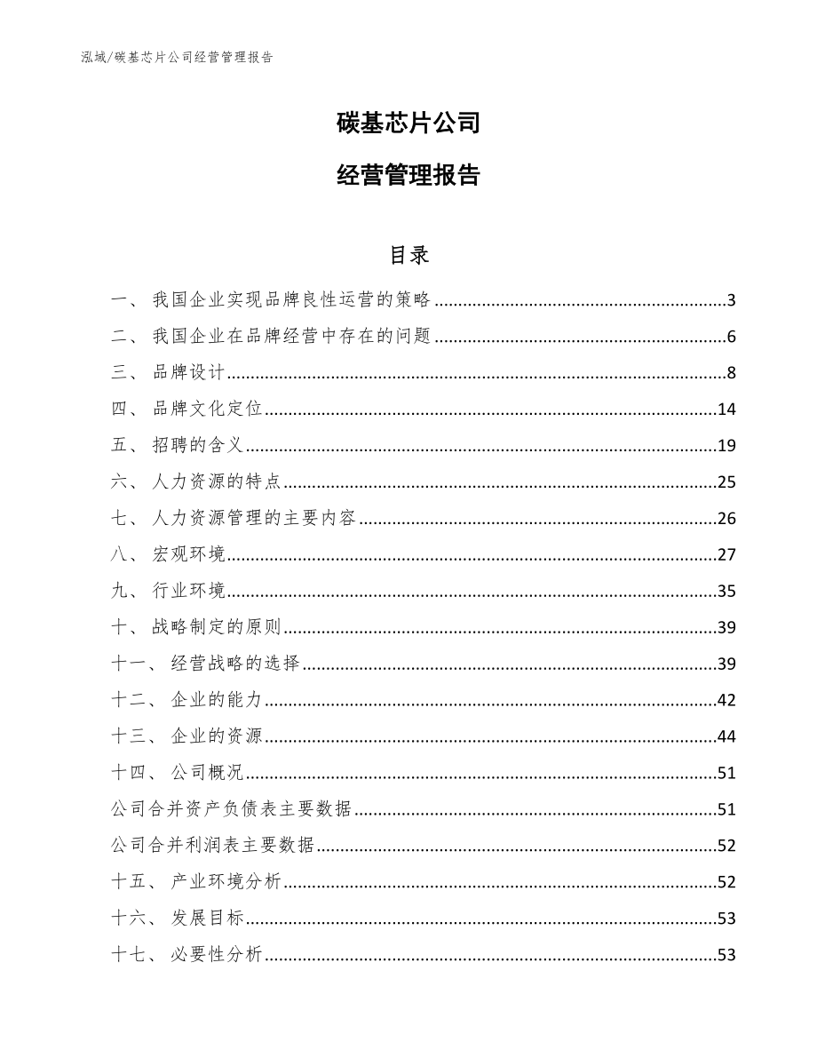 碳基芯片公司经营管理报告【参考】_第1页