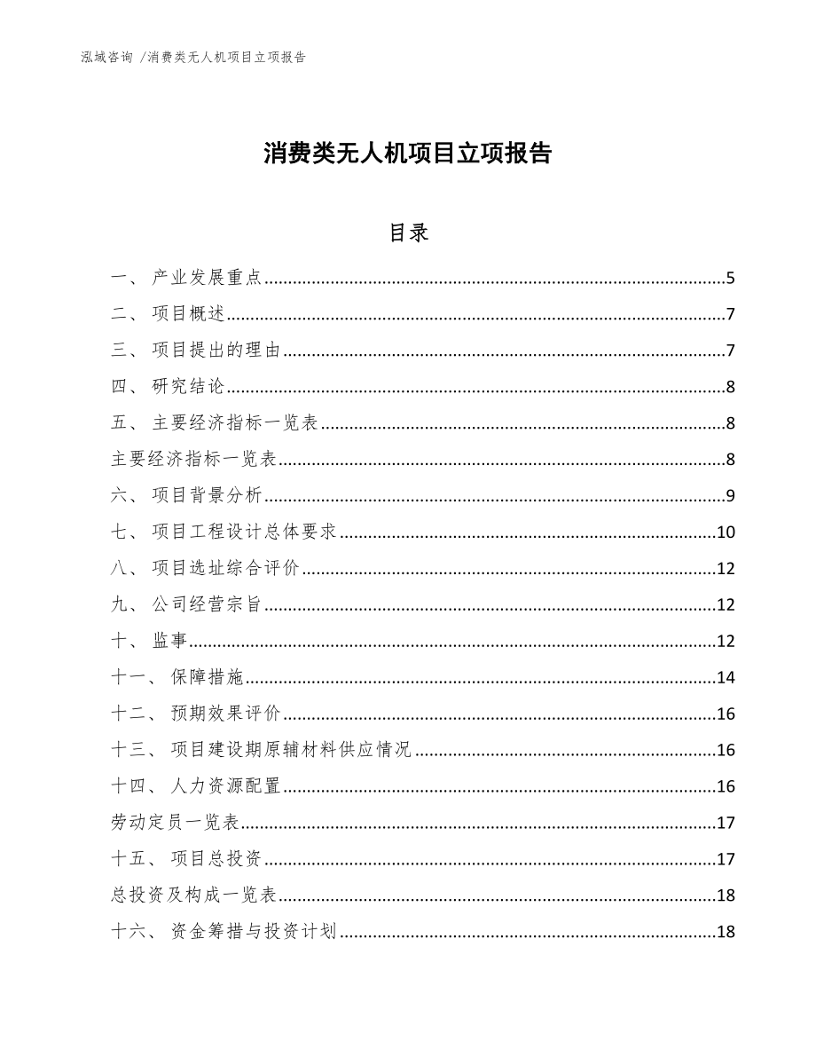 消费类无人机项目立项报告-模板_第1页