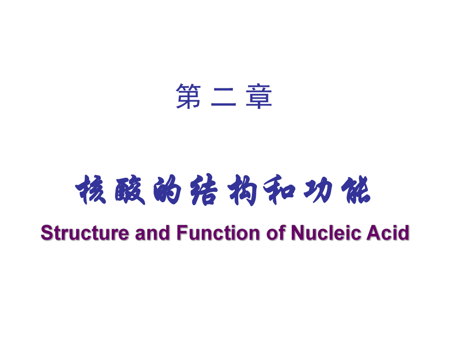 核酸的结构和功能_第1页